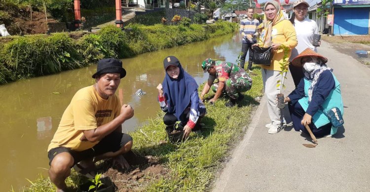 Bersama KKN Unsiq Dan Masyarakat Kelurahan Semarang,Babinsa Laksanakan Kerja Bakti dan Penanaman Pohon