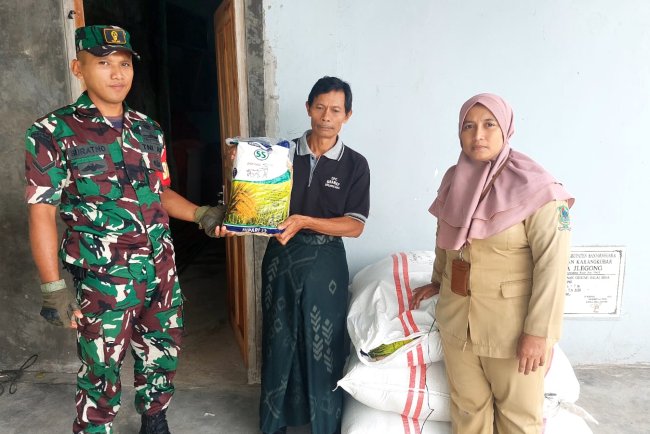 Sukseskan Ketahanan Pangan Babinsa Karangkobar Dampingi Penyaluran Bibit Padi Inpari 32