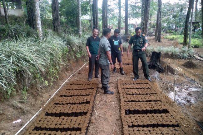 Danramil 01 Banjarnegara Aktif Dalam Program Penghijauan