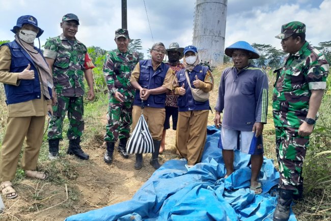 Danramil Banjarnegara Bersama PPL Dampingi Ubinan dan Panen Padi di Karangtengah