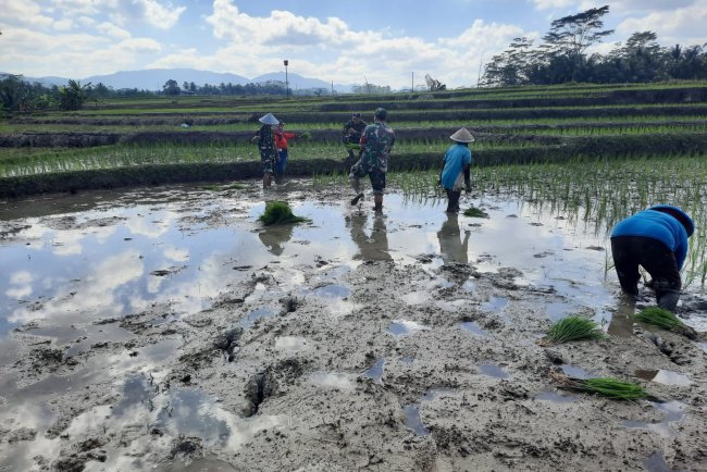 Percepat Perluasan Areal Tanam di Desa Gumingsir