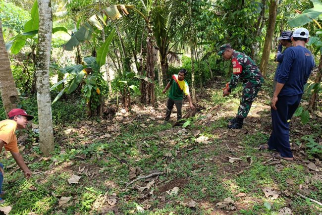 Babinsa Aktif Dampingi Kegiatan Perluasan Areal Tanam (PAT) Dalam Program Ketahanan Pangan