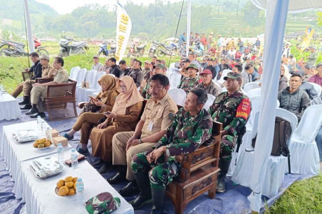 Danramil 17 Wanayasa Hadiri Undangan Farmer Field Day 