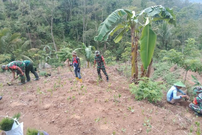 Danramil Banjarnegara Tanam 2.300 Pohon di Lebakwangi