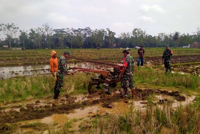Koramil Klampok Dampingi Petani Olah Lahan untuk Tanam Padi