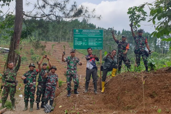 Danramil 01 Banjarnegara Bersama Warga Gelar Penghijauan di Desa Kebutuhduwur