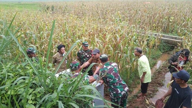 Meninjau Pompanisasi Pada Lahan Pertanian
