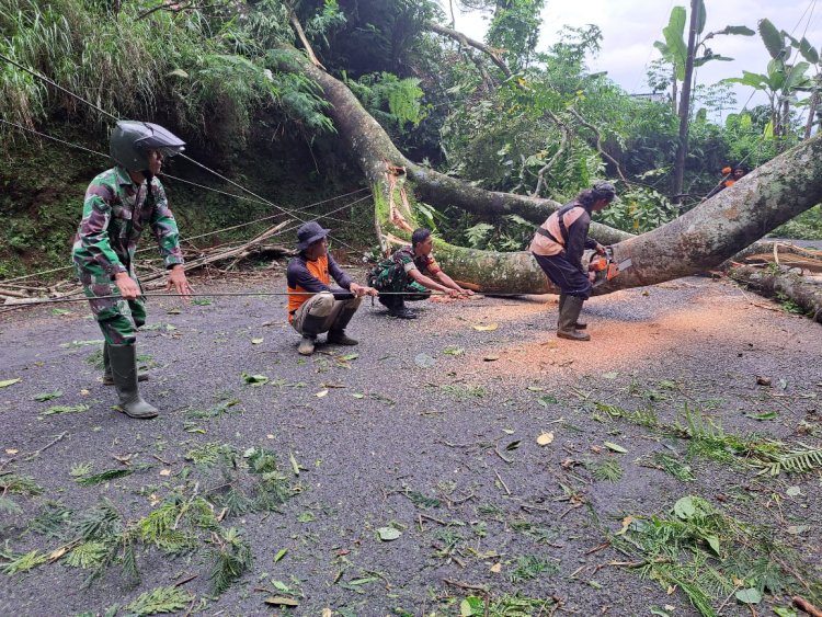 Babinsa Bersama Relawan Dan Warga Kerja Bakti Pembersihan Ranting Dan Pohon