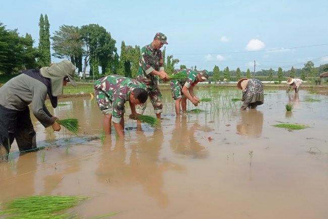 Babinsa Koramil 10 Bawang Bersama Petani Wujudkan Swasembada Pangan