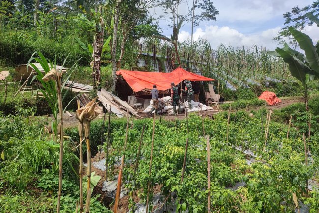 Sukseskan Program Pipanisasi Babinsa Koramil 16/Pejawaran Dampingi Poktan
