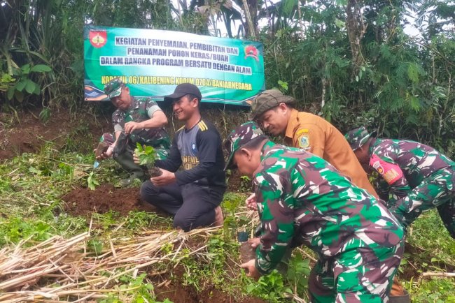 Sinergi TNI dan Petani Danramil 06 Kalibening Hijaukan Desa dengan Kopi Arabika