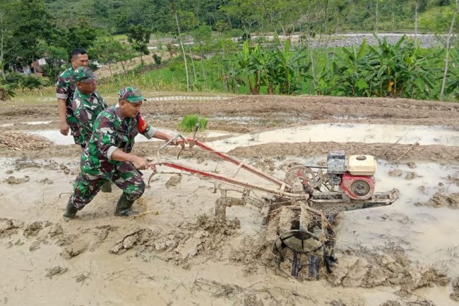 Babinsa Koramil Pagentan Dukung Petani Olah Lahan Demi Ketahanan Pangan