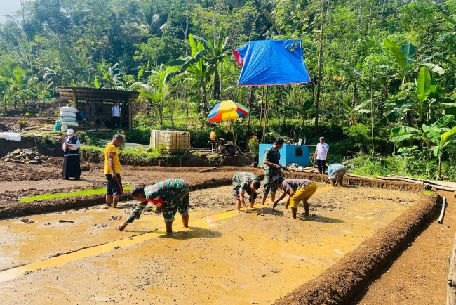 Babinsa Koramil 01 Banjarnegara Bersama Petani Tanam Bibit Padi Baru di Kelurahan Argasoka