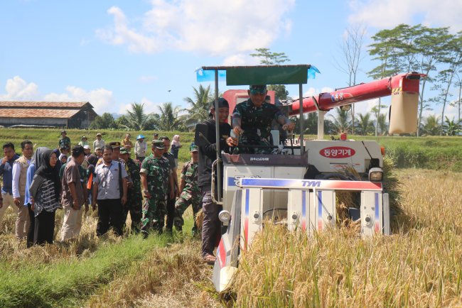 Panen Raya Serentak Banjarnegara Sumbang Ketahanan Pangan Nasional