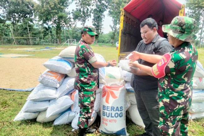 Danramil 09 Susukan Terjun Langsung Dampingi Serap Gabah