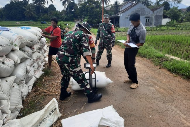 Koramil 03 Wanadadi dan Bulog Serap 14 Ton Gabah Petani di Dua Desa