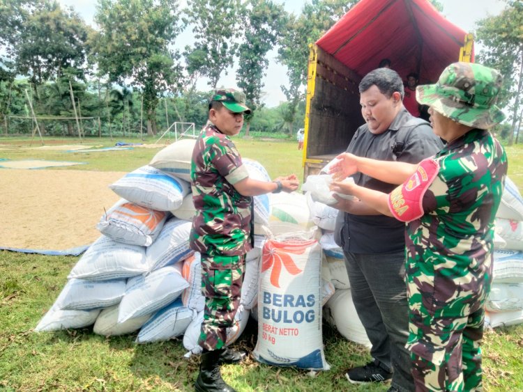 Danramil 09 Susukan Terjun Langsung Dampingi Serap Gabah