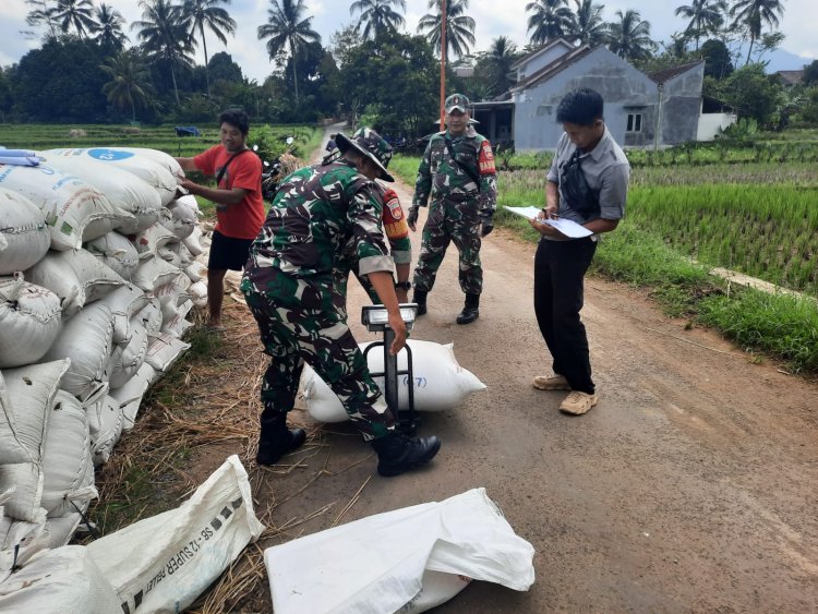 Koramil 03 Wanadadi dan Bulog Serap 14 Ton Gabah Petani di Dua Desa