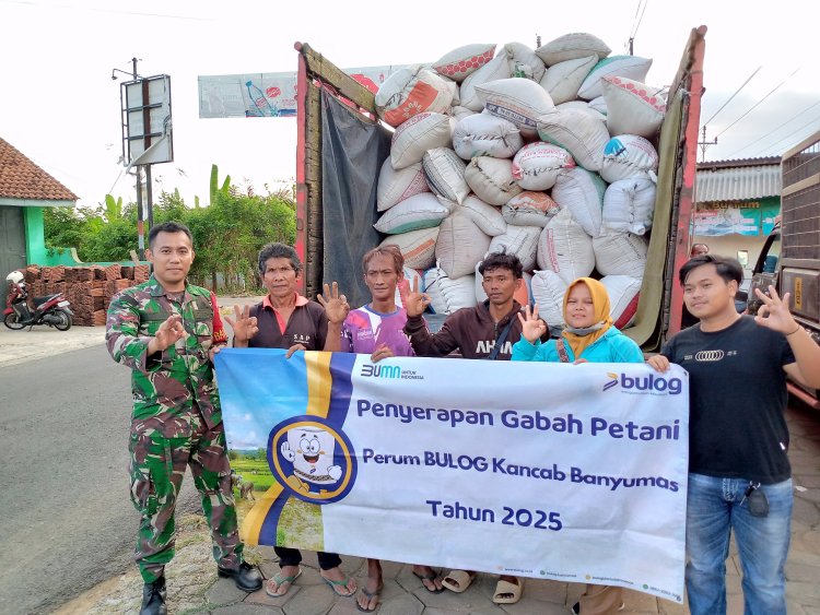 Babinsa Koramil 14 Madukara Dampingi Bulog Dalam Serapan Gabah Petani