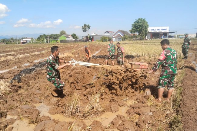 Babinsa Bantu Petani Garap Lahan Sawah