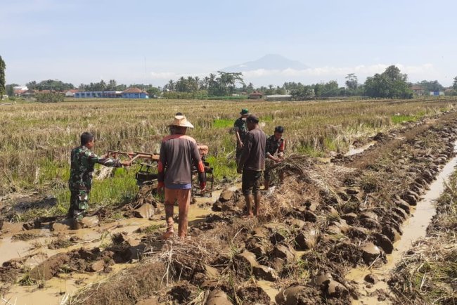 Babinsa Bantu Petani Olah Lahan untuk Dukung Swasembada Pangan