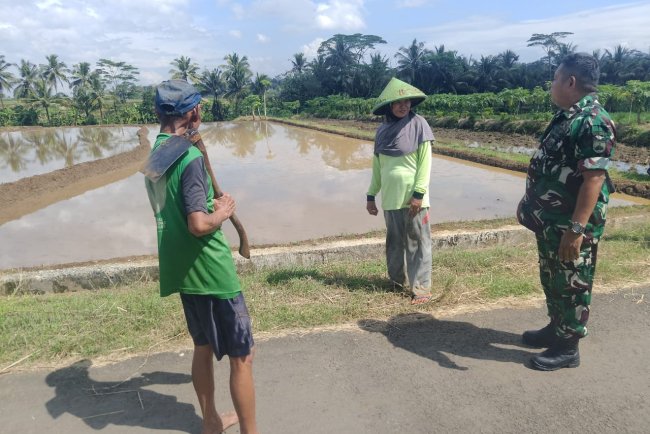 Babinsa Selalu Melaksanakan Komsos, Bersama Para Petani Di Desa Binaan