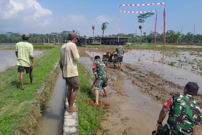 Babinsa Terjun langsung Bantu Petani Saat olah lahan