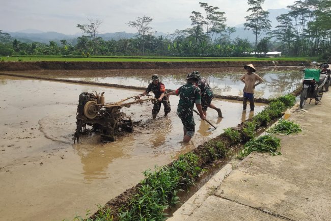 TNI Bantu Olah Lahan Petani Medayu Rasakan Kehangatan Kemanunggalan