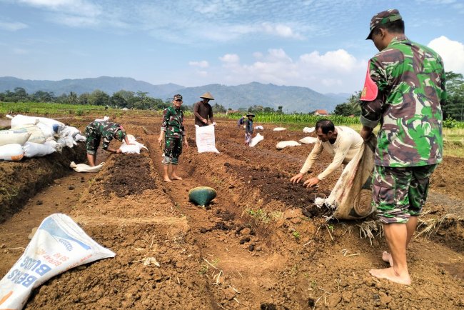 Koramil 02 Klampok Mendampingi Petani Melakukan Pengelolaan Lahan