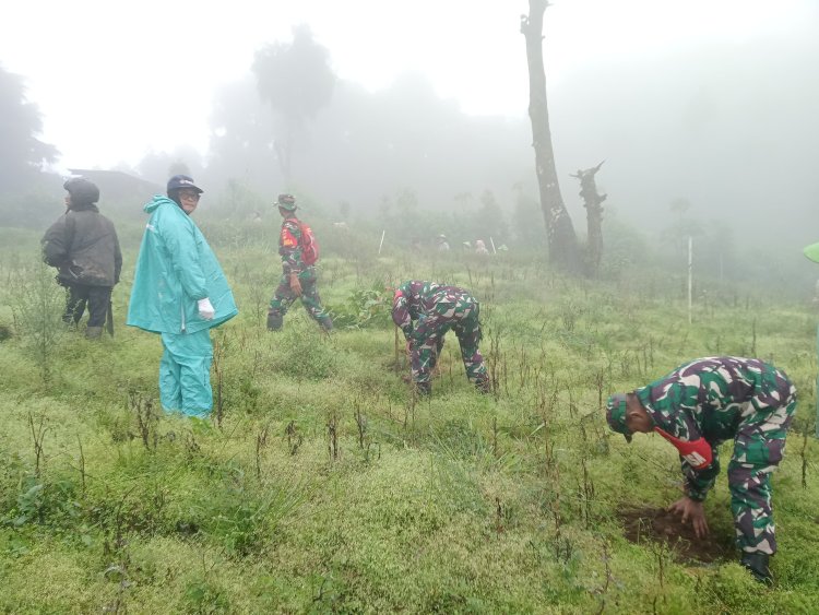 Jaga Sumber Mata Air Koramil 05 Batur Tanam Pohon Bersama Masyarakat