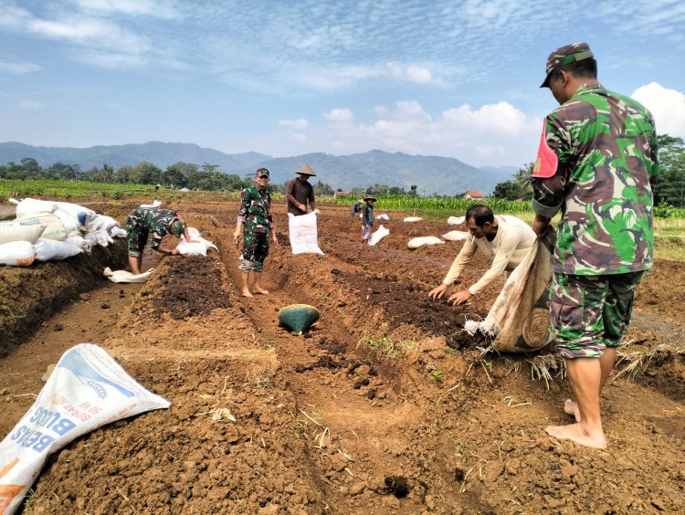 Koramil 02 Klampok Mendampingi Petani Melakukan Pengelolaan Lahan