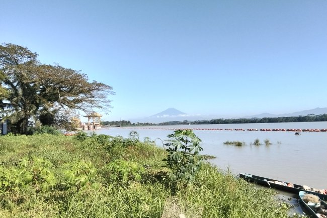 Babinsa Koramil 10 Bawang Serka Miftakhudin Tanam Jagung Wujudkan Ketahanan Pangan