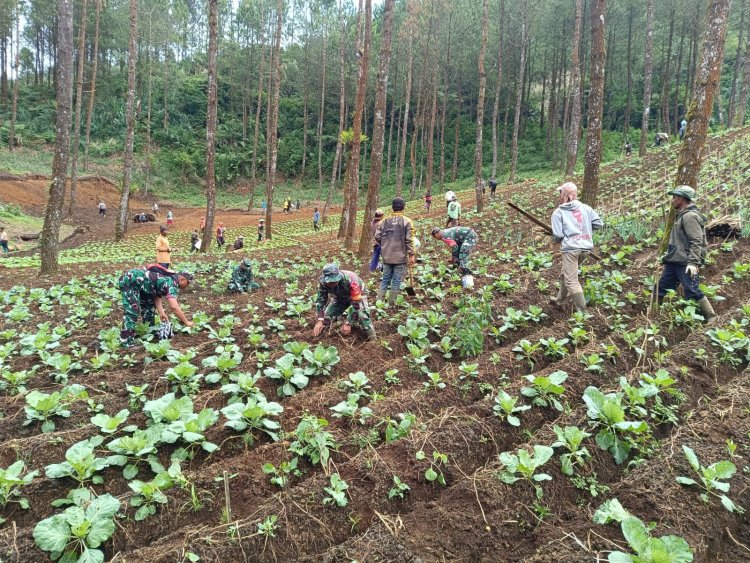 Jaga Kelestarian Hutan Penghijauan Koramil 17 Wanayasa Tanam pohon
