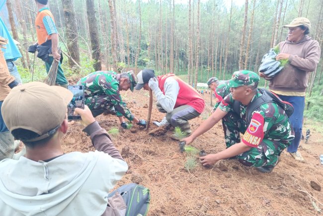 Anggota Koramil 17 Wanayasa ikut peduli hutan Tanam pohon bersama komponen masyarakat