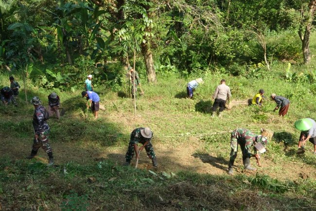 TMMD Reguler ke-125 Kodim 0710 Pekalongan Siapkan Lahan Penghijauan di Desa Windurojo