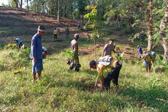 Semangat Menanam, TNI dan Warga Kompak Laksanakan Penghijauan di Desa Windurojo