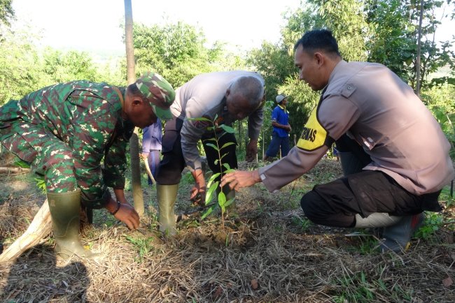 TNI-Polri Kompak Tanam Pohon di Windurojo, Dukung Penghijauan Lewat TMMD Reguler 125 Kodim 0710/Pekalongan