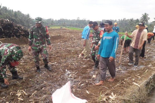 Babinsa Bersama Petani Wujudkan Ketahanan Pangan Lewat Penanaman Jagung