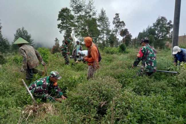 Peduli Lingkungan Dan Lindungi Sumber Mata Air Koramil 05 Batur Lakukan Penghijauan Bersama Masyarakat
