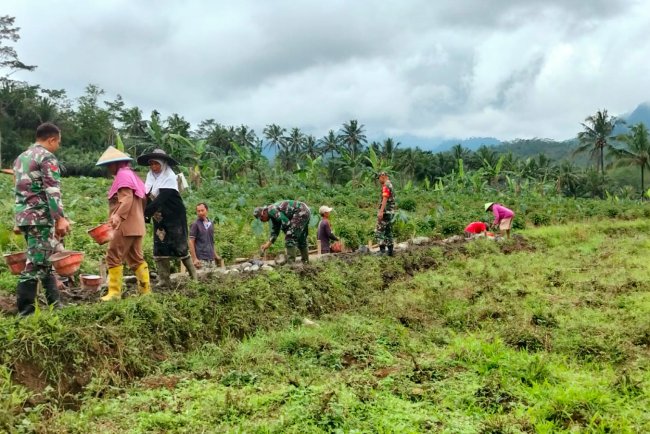 Koramil 11 Punggelan Gotong Royong Bersama Masyarakat Pembangunan Saluran Irigasi Sawah