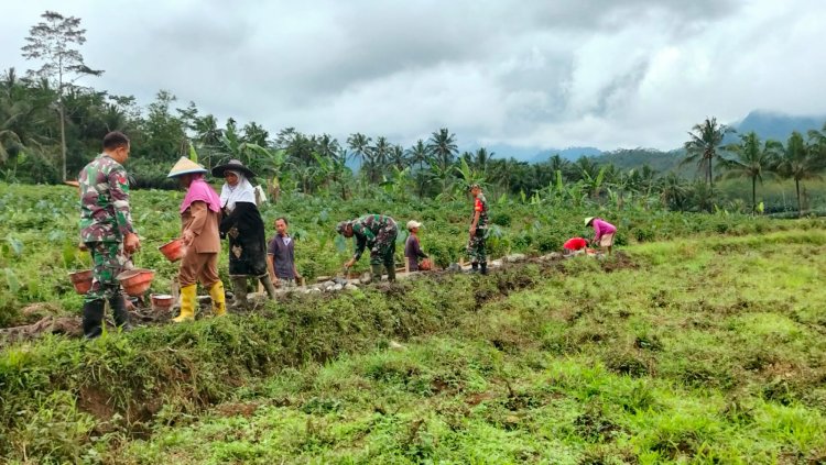 Koramil 11 Punggelan Gotong Royong Bersama Masyarakat Pembangunan Saluran Irigasi Sawah