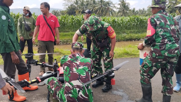 Babinsa Serma Sagi Dampingi Petani Basmi Hama Jagung dengan Drone