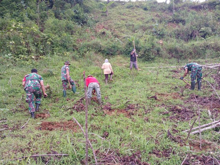 Koramil 17 Wanayasa Tanam pohon bersama KTH sbg upaya pelestarian kawasan hutan