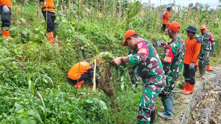 Koramil 16 Pejawaran Relawan Laksanakan Penanaman Pohon