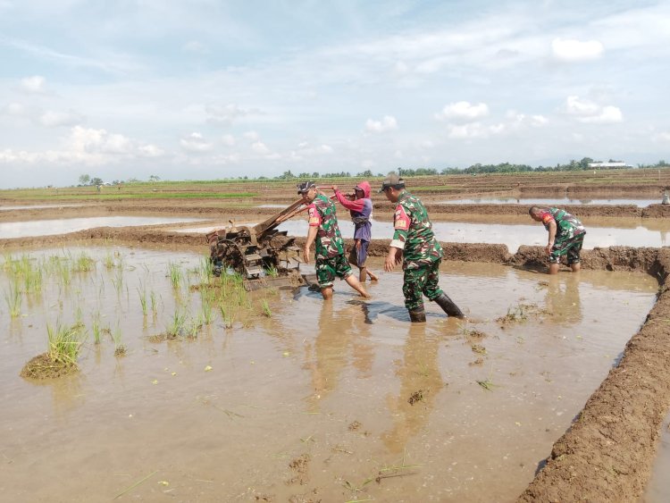 Dengan Penuh Semangat Kebersamaan Babinsa Membantu Pentani Saat olah Lahan