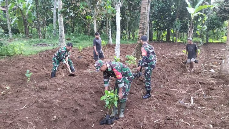 Koramil 11/Punggelan bantu Petani tanam kopi