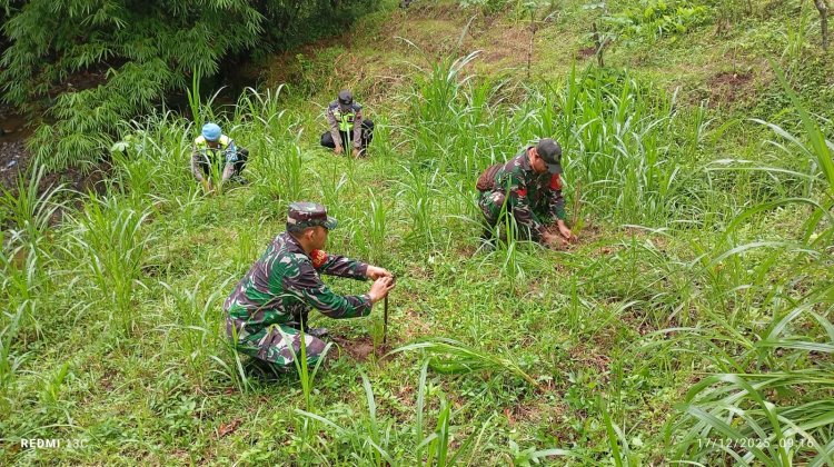 Danramil Beserta Forkompincam, Melaksanakan Penghijauan Penanaman Pohon Pinus