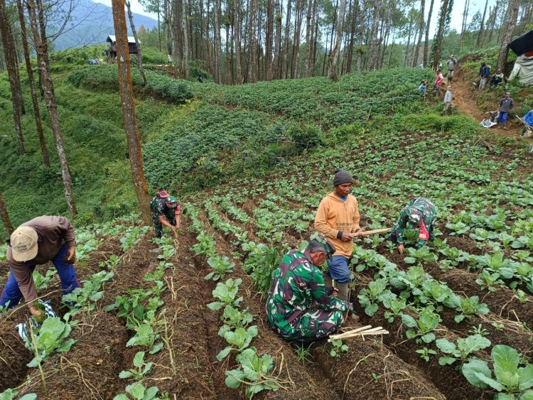 Lanjutkan Program Penghijauan Koramil 17 Wanayasa Tanam pohon bersama masyarakat
