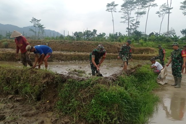 Babinsa Dampingi Petani Lakukan Pengolahan Lahan