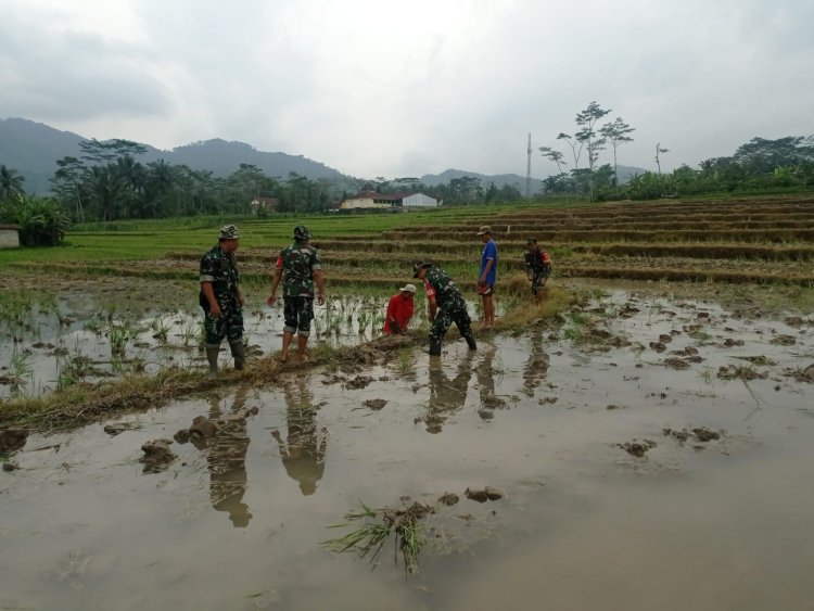 Babinsa Dampingi Petani Lakukan Pengolahan Lahan